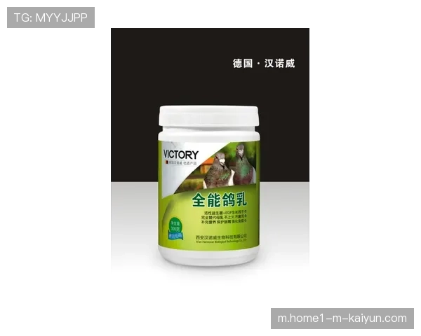 体能分配策略将随气候条件动态调整 高温场次或现更多防守反击